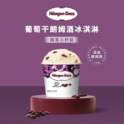 哈根达斯葡萄干朗姆酒冰淇淋75g/杯 商品图0