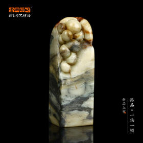 孤品017149-昌化石五彩瓜果钮方章-2.9*2.9*8.8cm