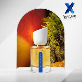 西普利亚 Chyprelia 50ml - 普恩特之香 House of Puente
