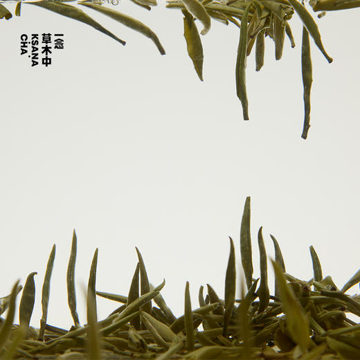 【快闪上新】兰香银芽 | 50g原叶 | 绿茶类 商品图1