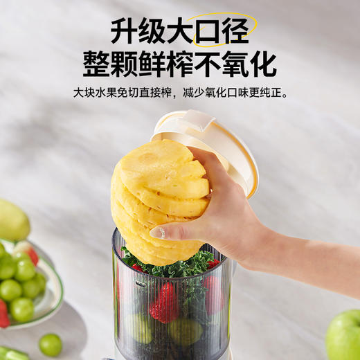 蓝宝大口径原汁机榨汁机BP-YJ02 商品图2