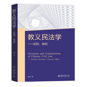教义民法学——总则、物权 刘洋 著 北京大学出版社