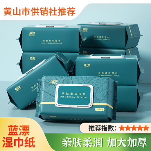 【蓝漂】湿巾80抽 大号加厚亲肤柔湿巾 清洁手口湿巾纸 家用带盖湿纸巾 商品图0
