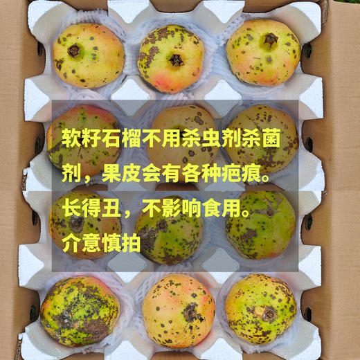 生态楚雄软籽石榴 | 合作生产*Eco-Soft-seeded pomegranate | Coproduction 商品图1