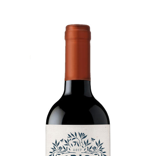 智利鹰格珍藏佳美娜干红葡萄酒-单瓶750ml【LXGWZQ1.0】 商品图2