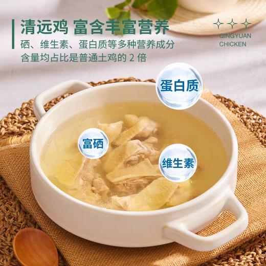 部分规格送清鸡汤+2包汤料【天农原种清远鸡】切块鸡肉\整只鸡肉\鸡肉条组合 商品图3