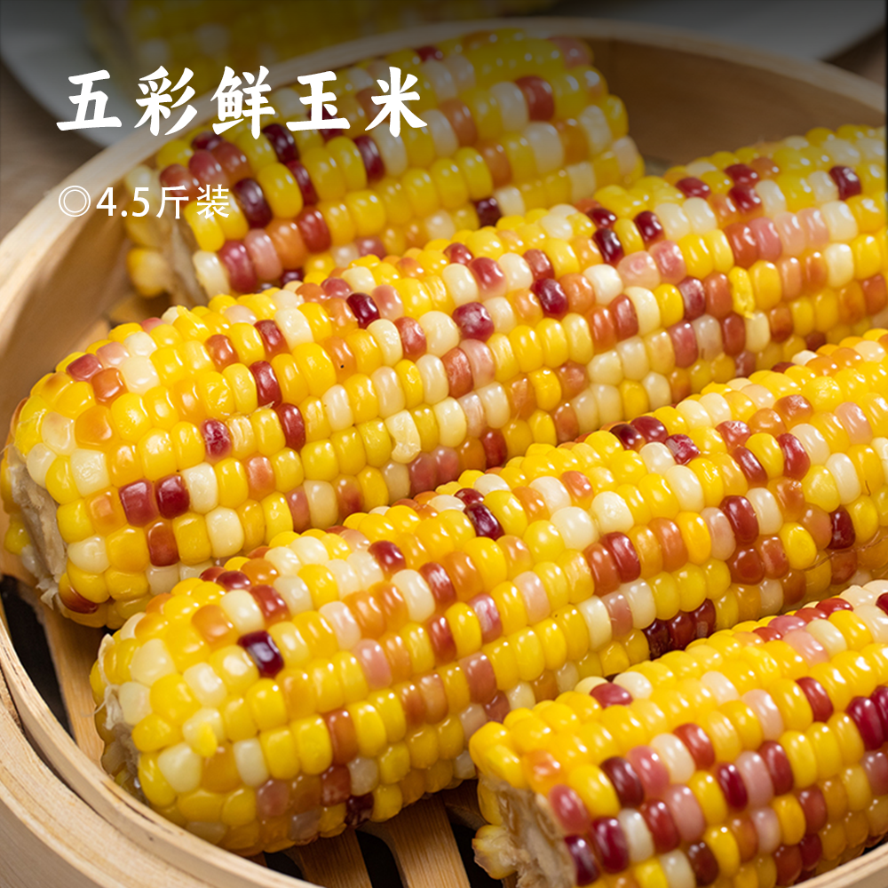 五彩鲜玉米｜非转基因 科学生态种植 糯甜比例堪称完美 颗粒饱满如珍珠 低脂低卡 富含膳食纤维 方便快手 冰鲜鲜玉米