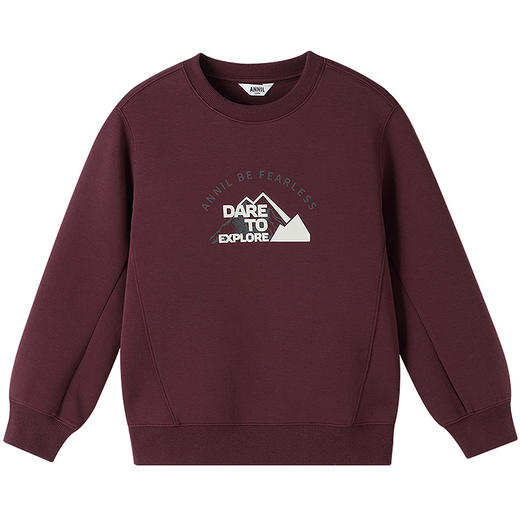 【实体店同款】男童圆领长袖卫衣秋季新款安奈儿童装AB531150 商品图7