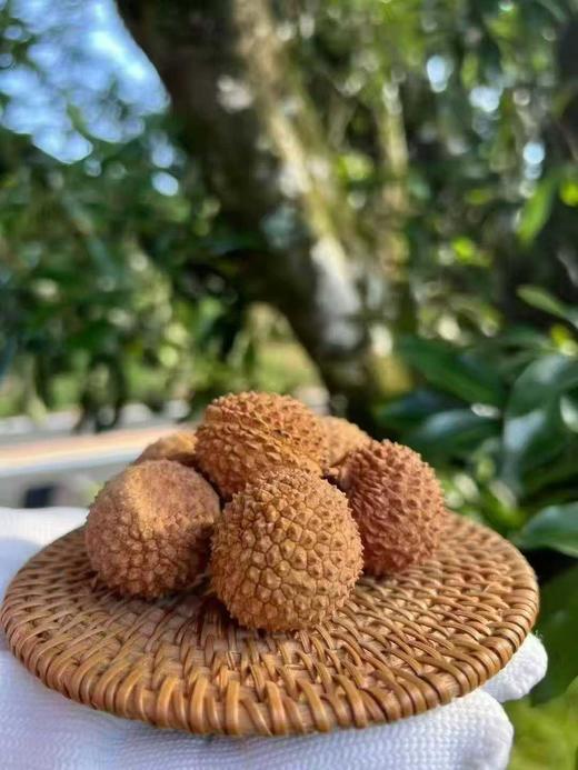 桂味荔枝干 0添加 、不熏硫、非工业烘烤！约5斤鲜荔枝，才能出1斤荔枝干！ 商品图3