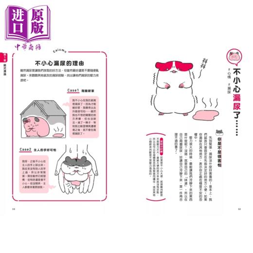 【中商原版】当然问仓鼠才清楚 诚实的鼠鼠行为百科 超萌图解   今泉忠明	一起来出版 台原版 商品图4