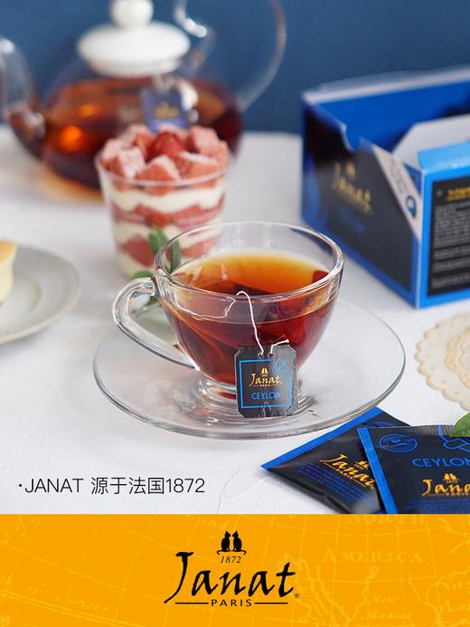 【Janat袋泡红茶包】【新增法式4种水果风味红茶】锡兰红茶 伯爵红茶 法国原装进口 赏味日期为2025.3-2028.3 商品图5