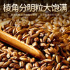 贡苑【实惠装大份量】大麦茶900g原味烘焙谷物回饭店用奶宝养生花茶包 /水饮冲调 /代用茶/花草茶/养生茶 /花草/草木茶 商品缩略图0