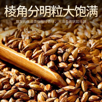 贡苑【实惠装大份量】大麦茶900g原味烘焙谷物回饭店用奶宝养生花茶包 /水饮冲调 /代用茶/花草茶/养生茶 /花草/草木茶 商品图0