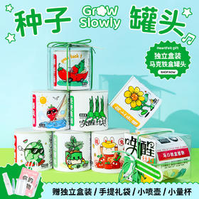 涂鸦造物办公室桌面植物生日礼物种子罐头