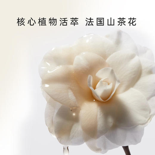 YECULOR钥界山茶花温和眼唇卸妆液 100ml 商品图4