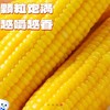 通卉正宗东北玉米8棒鲜糯玉米粘糯香甜5斤 商品缩略图0