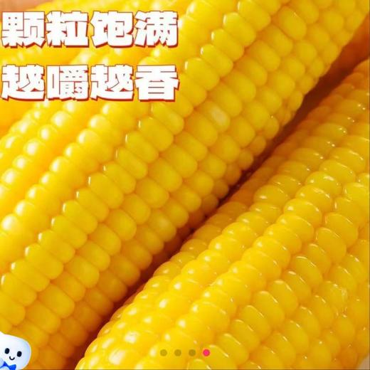 通卉正宗东北玉米8棒鲜糯玉米粘糯香甜5斤 商品图0