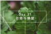 Day 21 总结与展望 商品缩略图0
