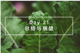 Day 21 总结与展望