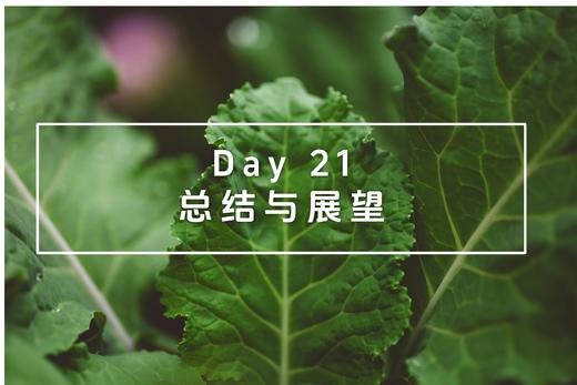 Day 21 总结与展望 商品图0