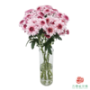 VDB多头小菊-皮普樱花粉 5枝一扎 商品缩略图2