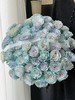 厄瓜多尔进口染色高端花材Blue Sand蓝色沙子玫瑰花10支 商品缩略图1
