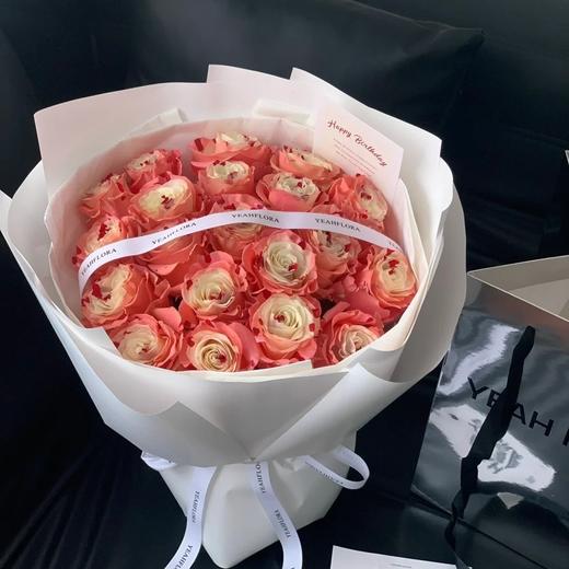 厄瓜多尔进口染色bloody pink草莓奶昔玫瑰10支 商品图4