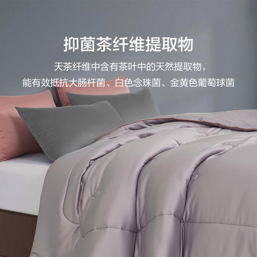 恐龙 全棉天茶植萃抗菌春秋被-DS 商品图4