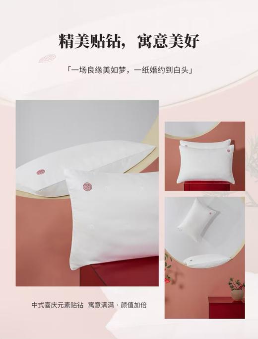 10楼 梦洁 抗菌艾草超柔对枕：枕上喜事50*70*750g吊牌价999活动价299 商品图2
