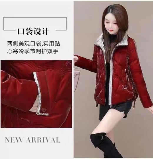 【孤品捡漏】G40炫彩珠光秋冬羽毛棉服-喜出 商品图3