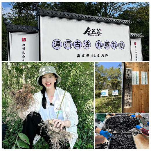 严选 | 合为养 九华山九蒸九晒黄精果 商品图2