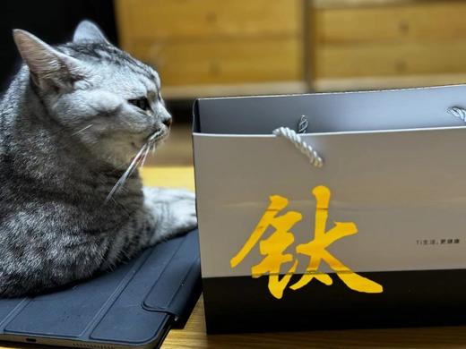 🔥🔥🔥官方售价5、600！🌸花粉专享价99【450ml钛保温杯 礼盒装】Desselan德森朗 活氢覆钛保温杯，经过活氢矿石的水具有抗氧化功能，健康保温负离子 商品图9