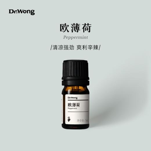 欧薄荷 单方精油 商品图0