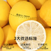 喜善花房冻干柠檬片50g+送一袋七日柠檬15g 商品缩略图4