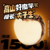 三只松鼠 魔问题_魔芋素毛肚/地道麻酱味/540g-fx 商品缩略图2