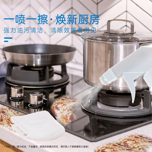 【蓝漂】油烟机清洗剂 去油污厨房清洁强力去重油污烟净重立剂500g*3瓶 商品图2