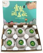 秋月梨2.5kg（单果400g，6粒装） 商品图0