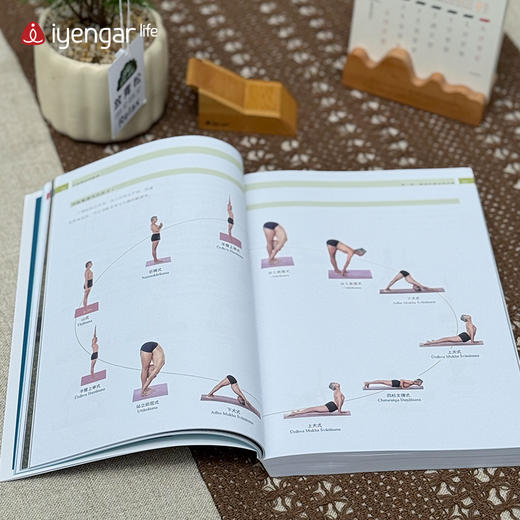 艾扬格 life 运动瑜伽书籍 B.K.S.艾扬格大师亲笔撰写，专为运动员、运动爱好者打造的瑜伽圣典! 商品图6
