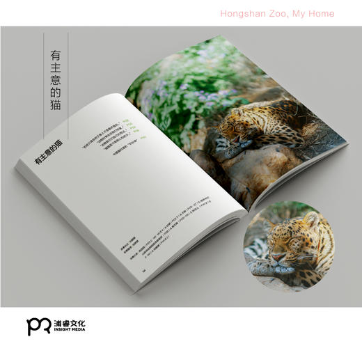 [博集]红山动物园是我家--“世界蕞美的书”得主朱赢椿和人气网红动物园园长沈志军联手打造，真实记录人和动物的温情故事。 商品图4