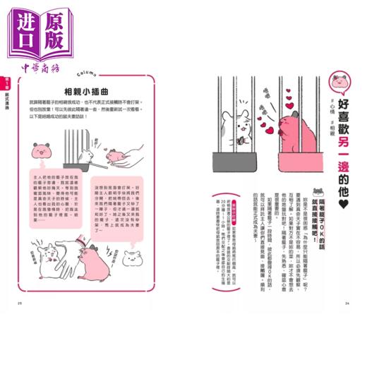 【中商原版】当然问仓鼠才清楚 诚实的鼠鼠行为百科 超萌图解   今泉忠明	一起来出版 台原版 商品图2