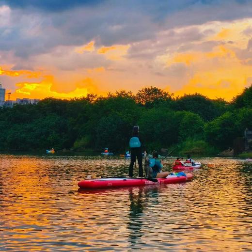 【周六日出团】 海珠湖·桨板运动亲子半日营 |  4KM 超长水上探索海珠湖，解锁新潮桨板运动，近距离感受湿地自然生态！ 商品图2