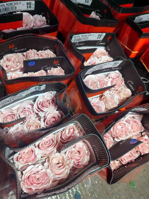 厄瓜多尔进口染色PEARL ROSE-GOLD金发美女玫瑰金10支 商品图4