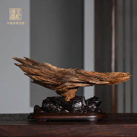 天然达拉干沉香原材摆件 450克 SP11968