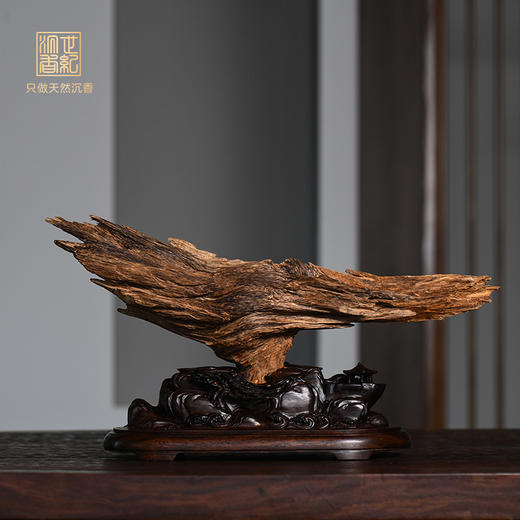 天然达拉干沉香原材摆件 450克 SP11968 商品图0