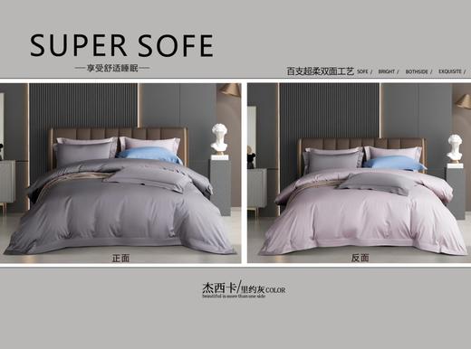 100支全棉刺绣四件套-杰西卡 商品图2