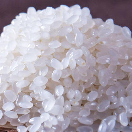 （分多包裹发货）金龙鱼阳光零反式脂肪压榨葵花仁油1.5L+十月稻田东北优质大米2.5kg 东北圆粒米寒地珍珠*2【LXGWZQ1.0】 商品图3