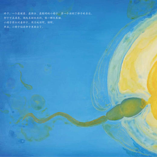 《爸妈怎么有了我？》 商品图7