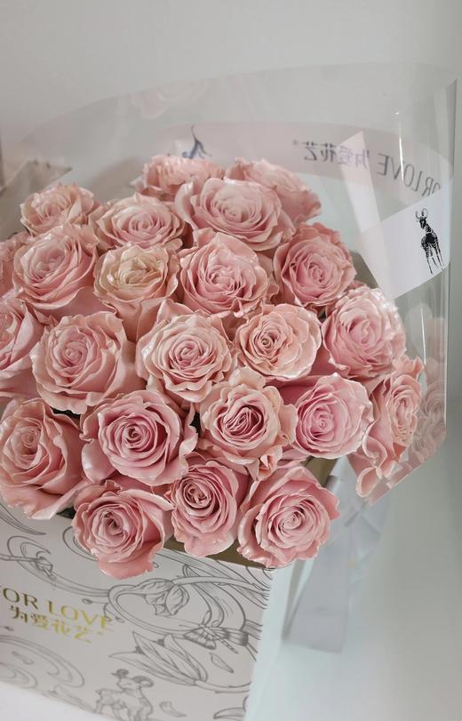 厄瓜多尔进口染色PEARL ROSE-GOLD金发美女玫瑰金10支 商品图2