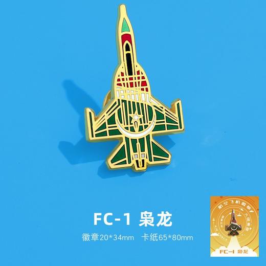 大国空军·航空战斗机冰箱贴80周年阅兵国庆飞机国潮冰箱贴徽章两用航展航空航天 商品图8