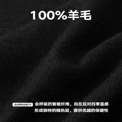 NPC潮牌100%羊毛简约纯色羊毛衫微廓形落肩男圆领秋季NP57SW31 商品图4